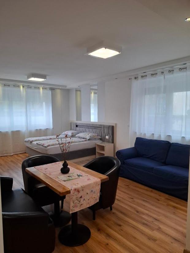 Vila Ema Apartments And Rooms ลูบลิยานา ภายนอก รูปภาพ