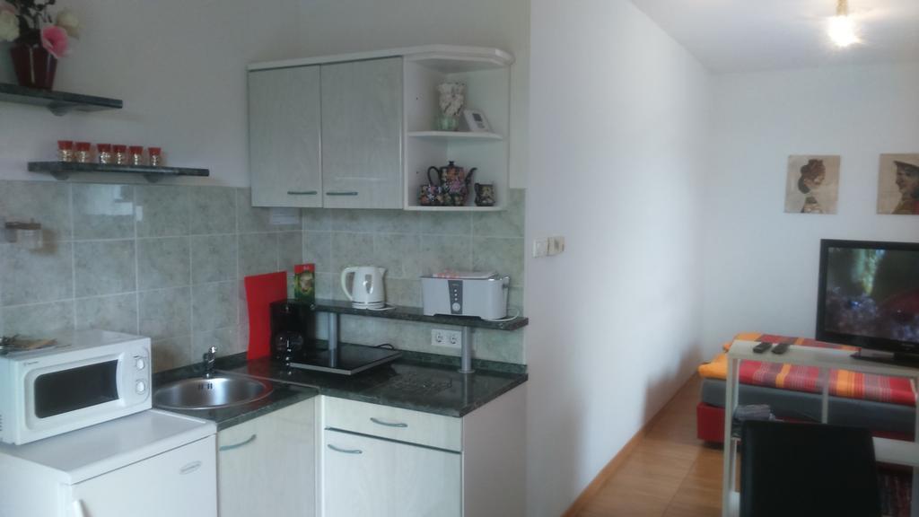 Vila Ema Apartments And Rooms ลูบลิยานา ภายนอก รูปภาพ