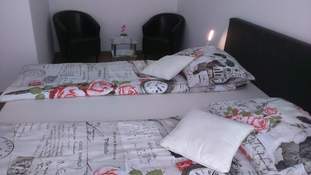 Vila Ema Apartments And Rooms ลูบลิยานา ภายนอก รูปภาพ