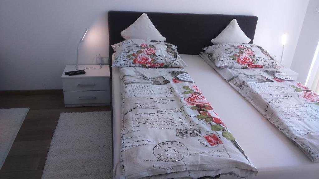 Vila Ema Apartments And Rooms ลูบลิยานา ภายนอก รูปภาพ