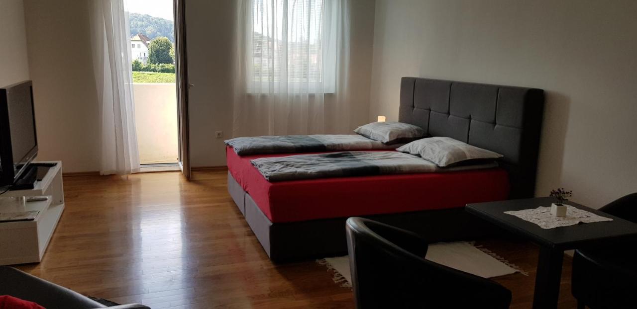 Vila Ema Apartments And Rooms ลูบลิยานา ภายนอก รูปภาพ